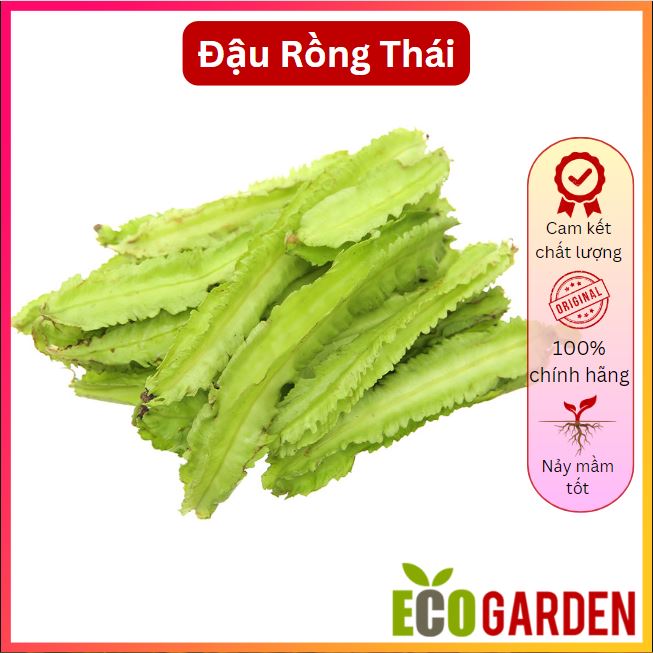 Hạt giống đậu rồng Thái mềm ngọt - gói 10 gam