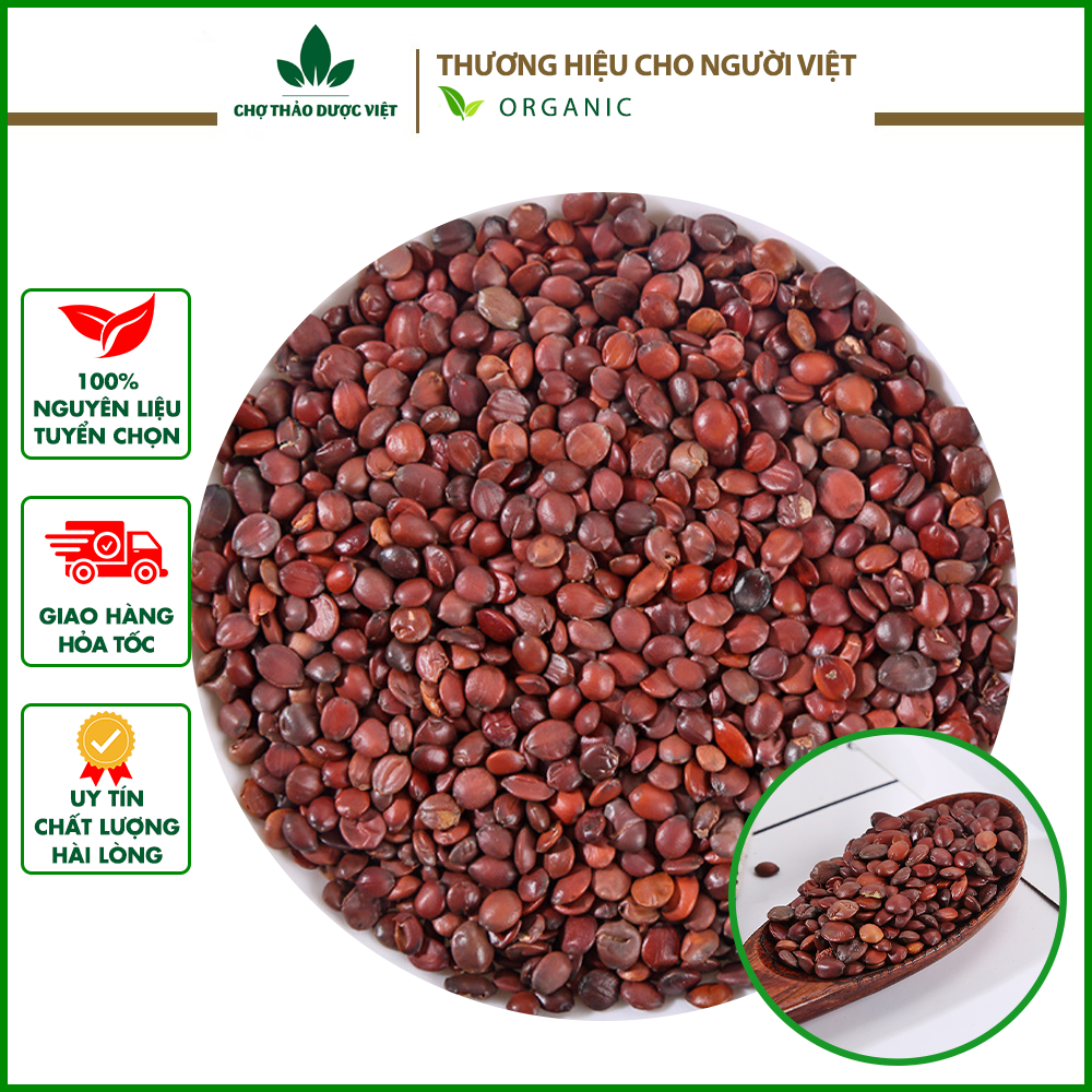 Táo nhân 100g - chợ thảo dược việt