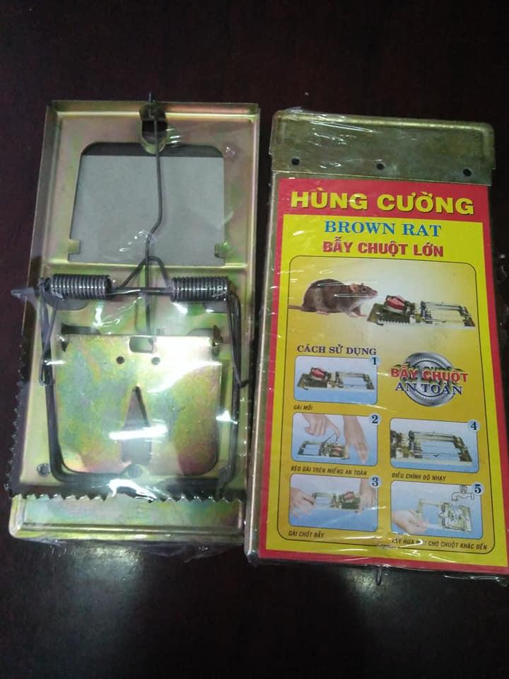 2 Cái Bẫy Sập Chuột Size Lớn 20x10 Hàng Thép Dày Chắc Chắn