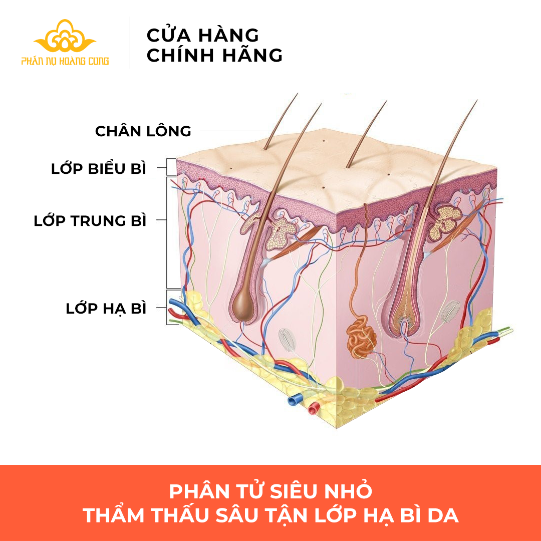 Tinh Chất Serum C Phấn Nụ Hoàng Cung