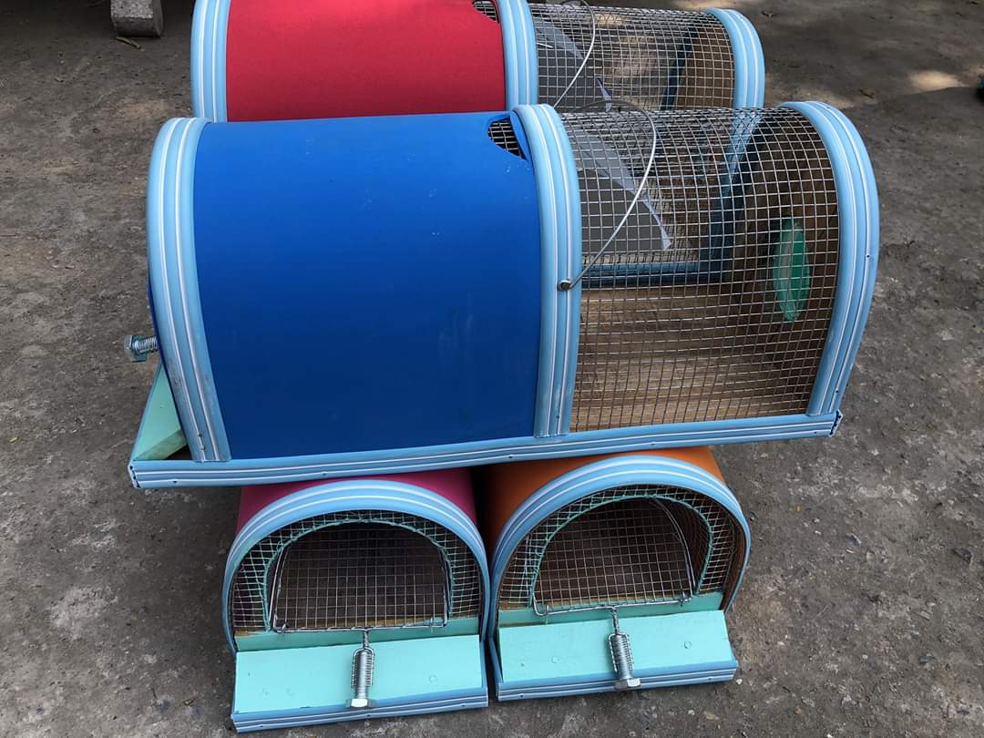 Bẫy chuột tự động 2 ngăn