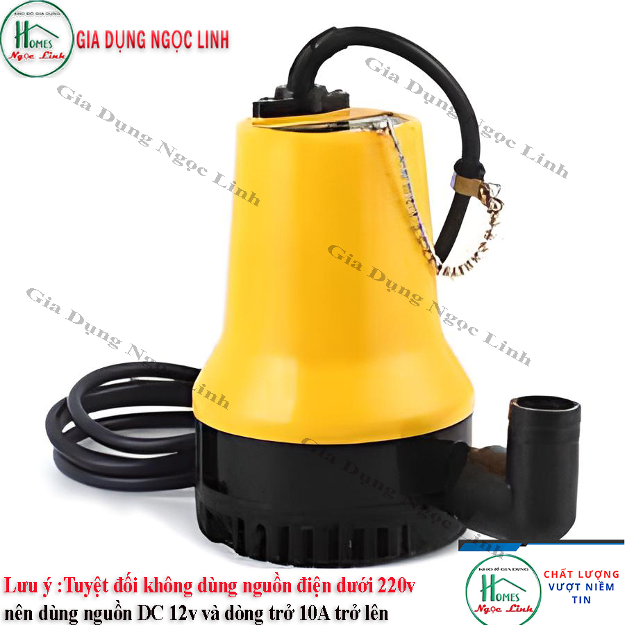 Bơm Chìm Vàng Lớn 12V