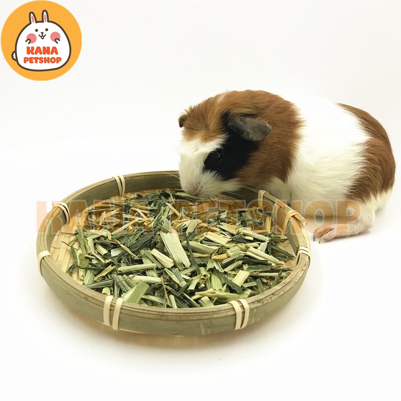 Cỏ Lúa Mạch 🐹FREESHIP🐹 50 Gram Cỏ Lúa Mạch Thức ăn dành cho Thỏ Và Bọ