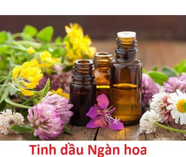 Tinh dầu hương Ngàn hoa lọ 50ml