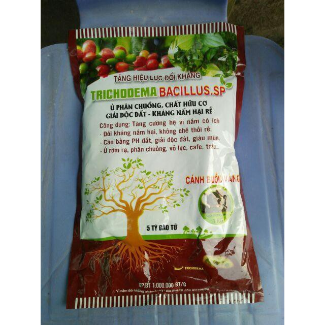 Nấm đối kháng trichoderma-bacillus