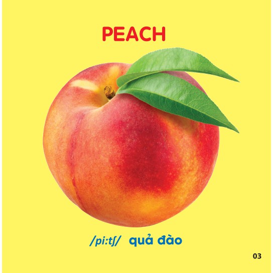 Sách - Bách Khoa Toàn Thư Cho Bé - Trái Cây