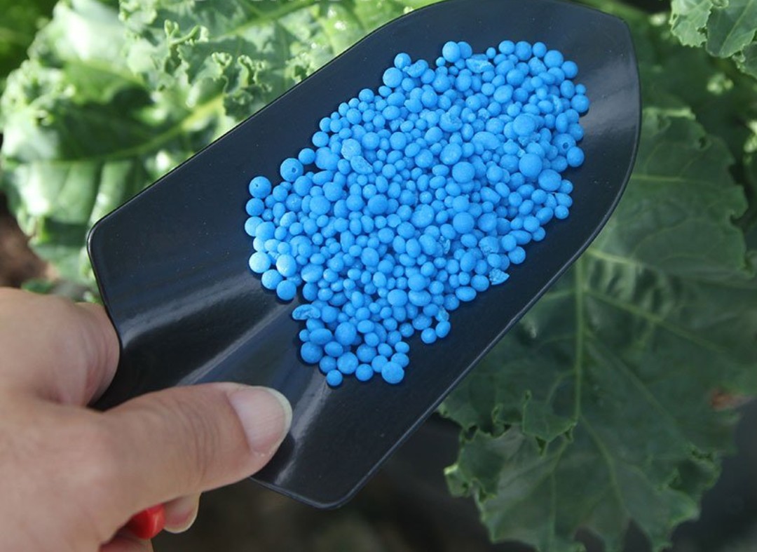 Compound fertilizer NPK minro 30-9-9 pack 200g provides high protein for plant growth, leaf branches, root packs