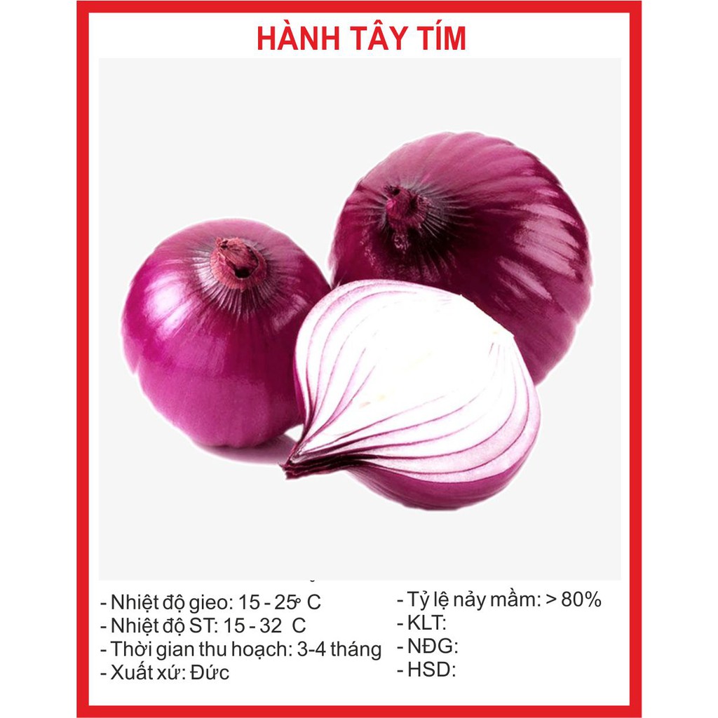 Hạt Giống Hành Tây Tím 1gram