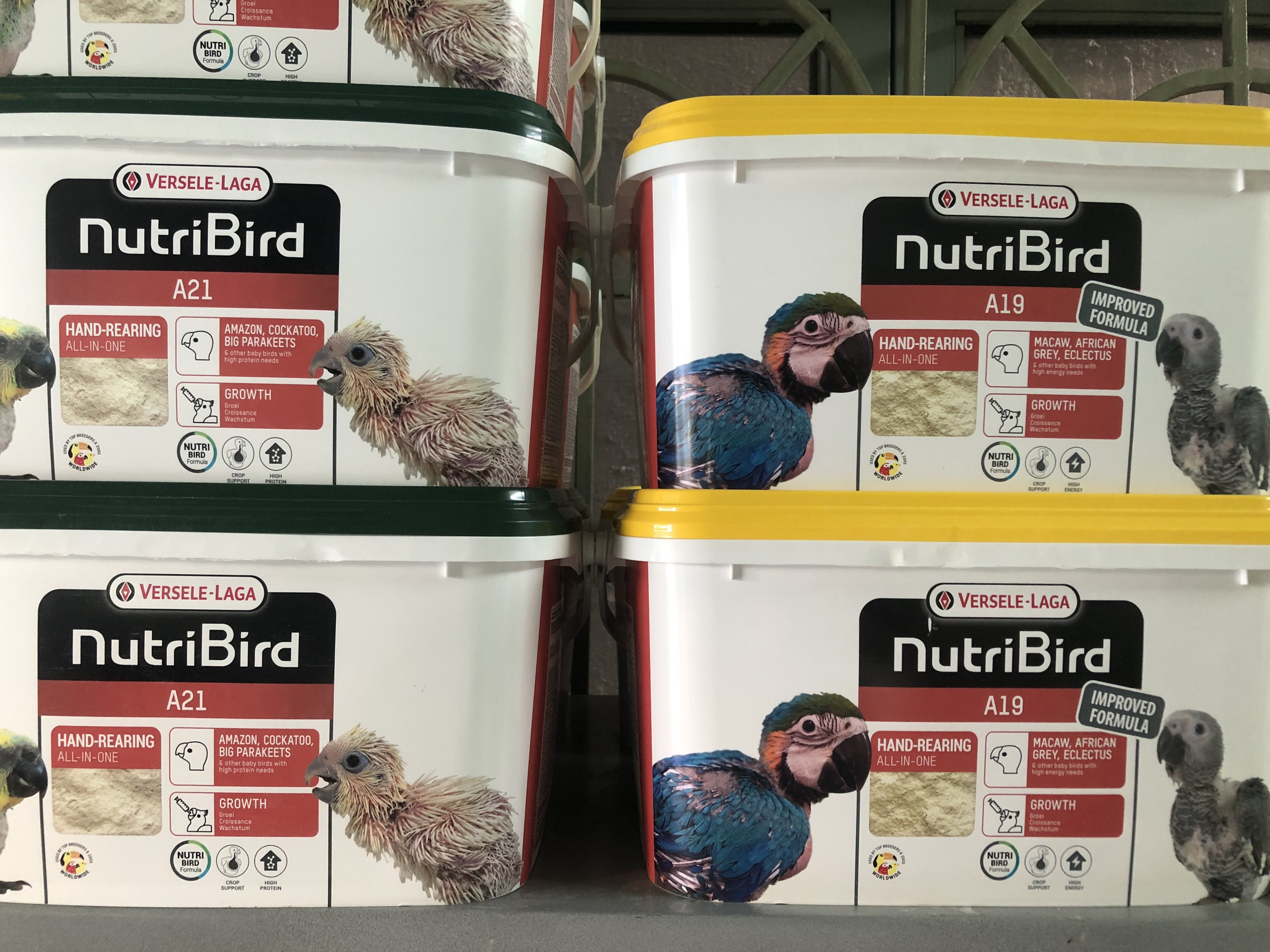 Túi 200g bột A19 / A21 cho vẹt non