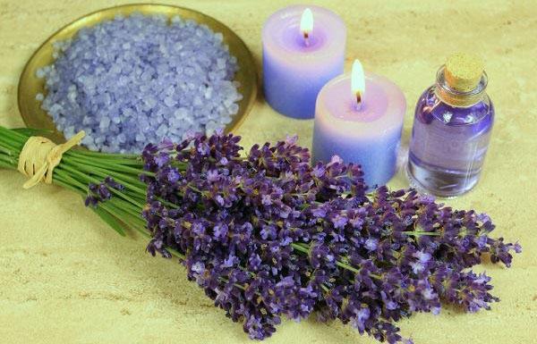 Tinh dầu hoa oải hương Lavender (10ml