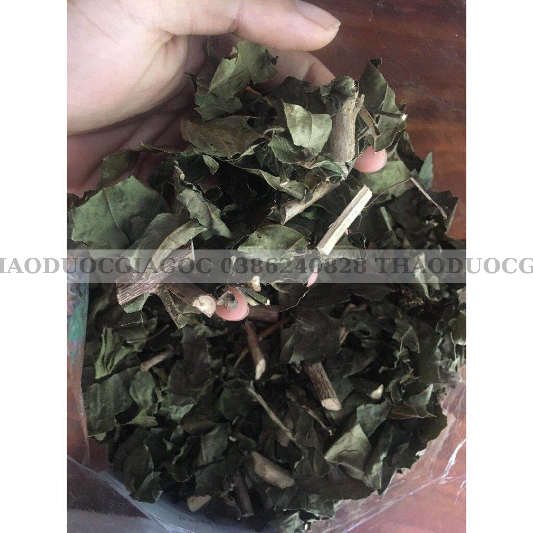 1kg lá vọng cách hoà bình xanh thơm sạch.