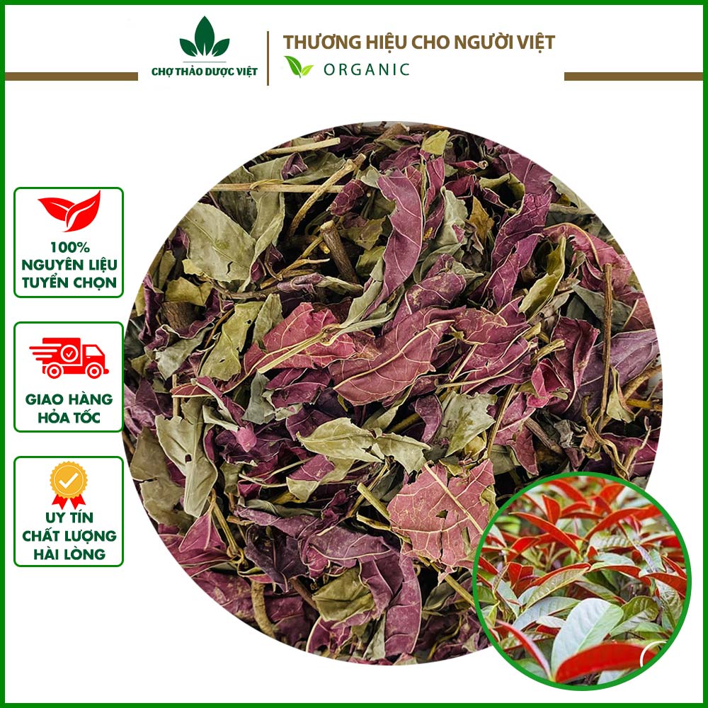 100gr lá đơn đỏ |khô, thơm, sạch