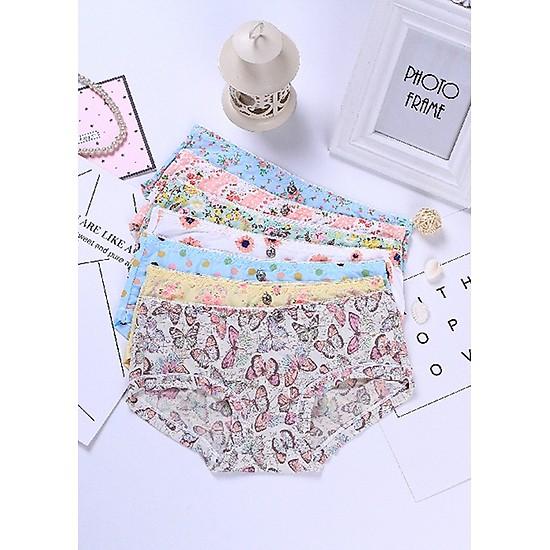 Bộ 05 quần lót đúc hoa
