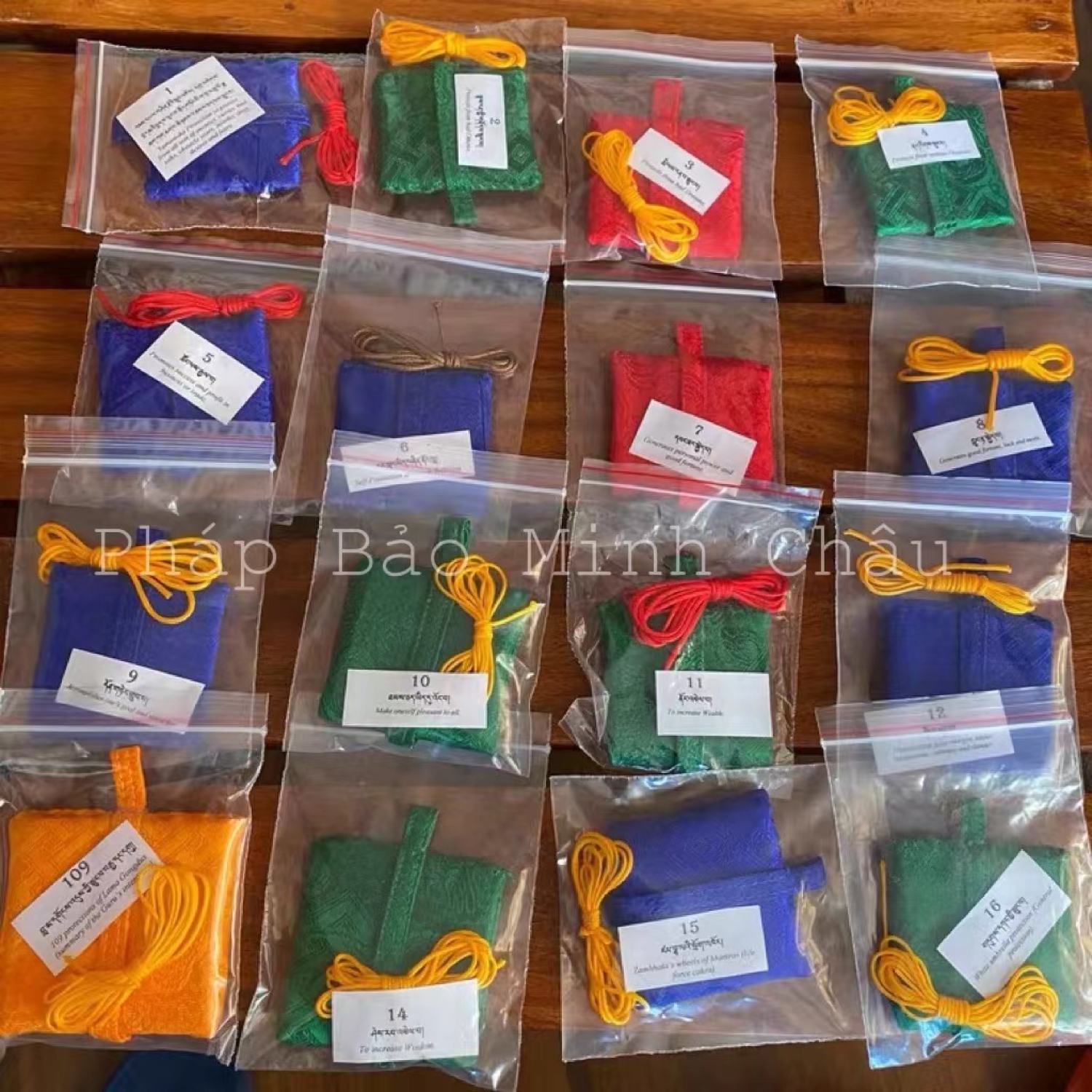 [PBMC] Linh phù Tu viện Shechen Nepal