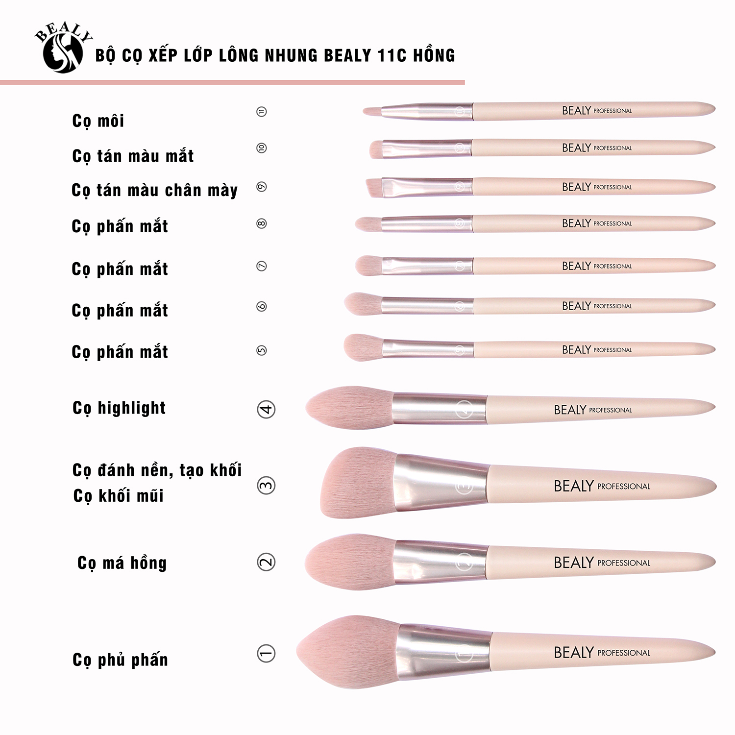 BỘ CỌ XẾP LỚP LÔNG NHUNG BEALY 11C HỒNG