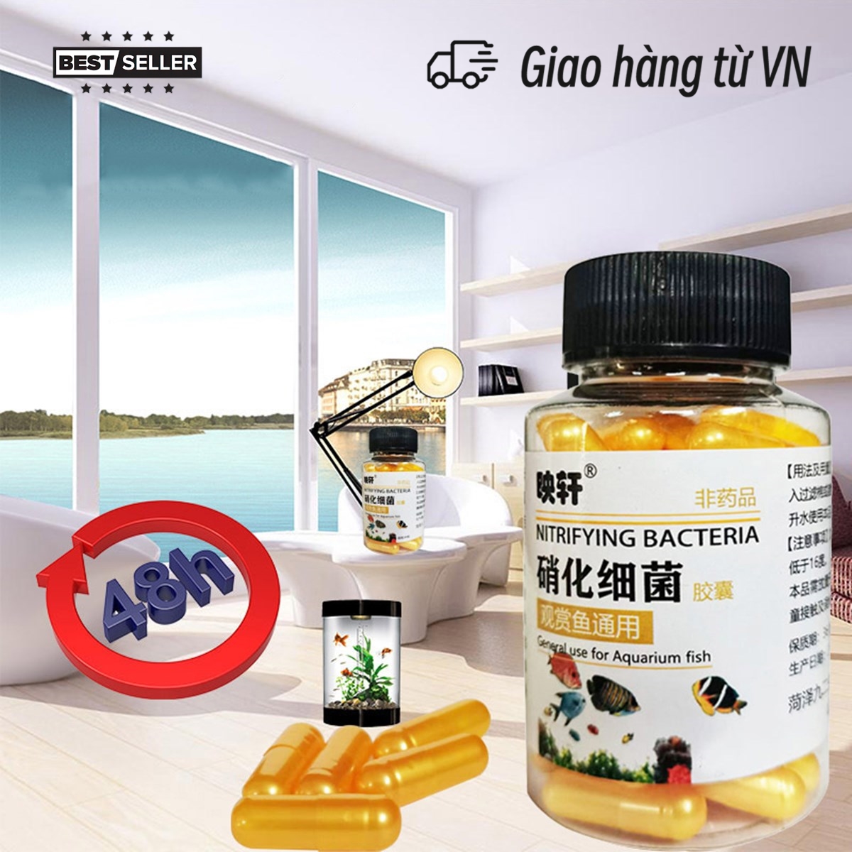 Vi Khuẩn Nitrat Hóa Cho Bể Cá Cảnh , Bể Thủy Sinh