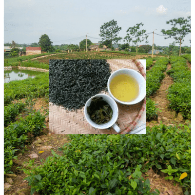 500 gram Đặc sản chè thái nguyên(đsctn 1)