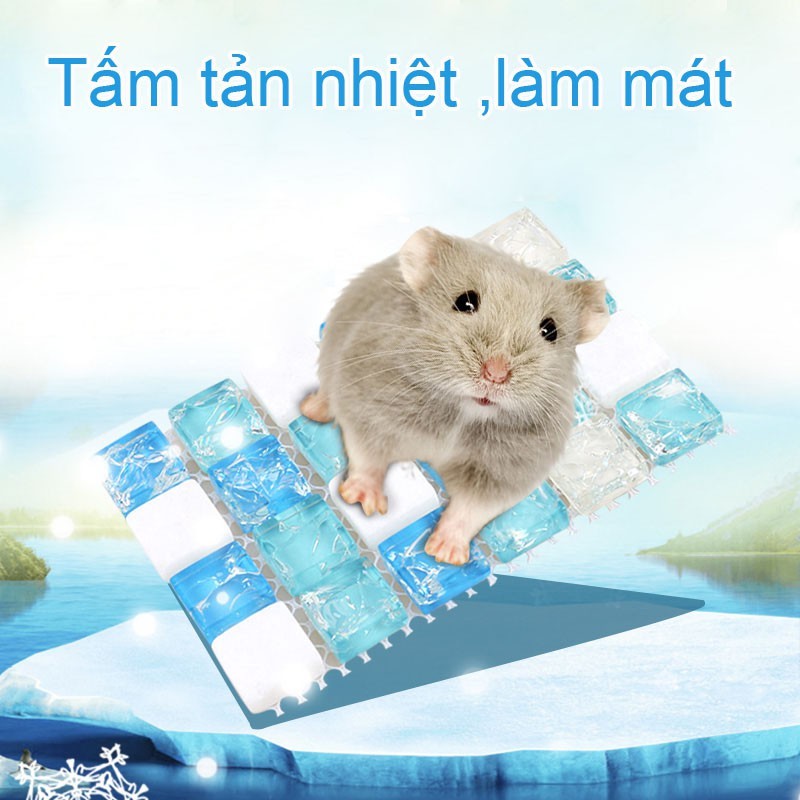 Đá Làm Mát, Tản Nhiệt Mùa Hè Cho Bé Hamster, Gunie Pig
