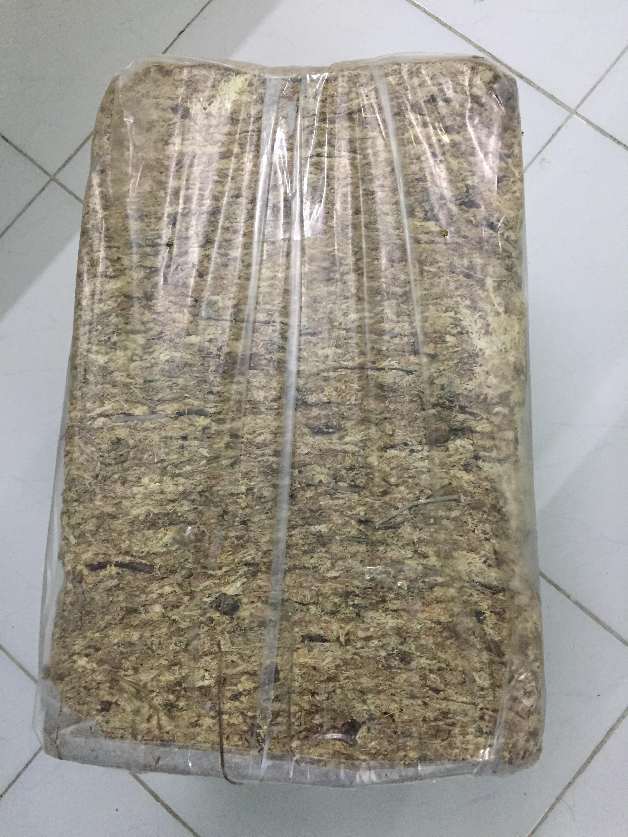 Dớn Chile gói 100gr