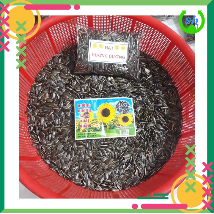 Hạt hướng dương sạch xuất khẩu