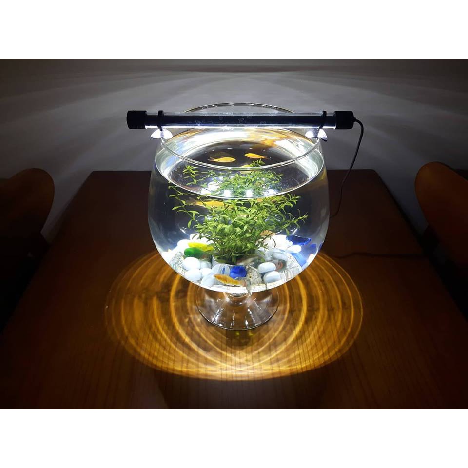 HANG17- Sỏi màu trang trí bể cá