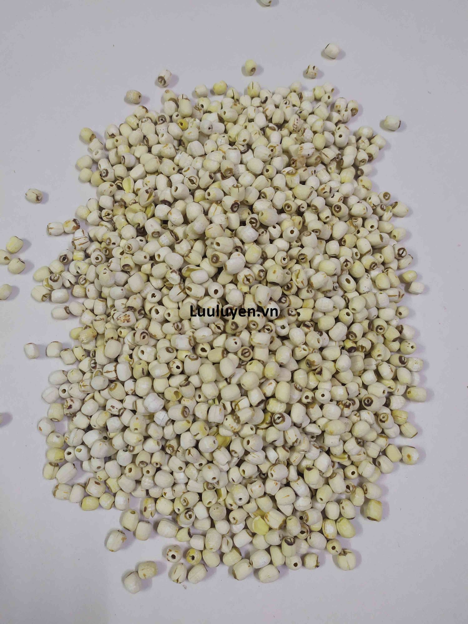 Hạt Sen Khô Chất Lượng Hảo Hạng 500g