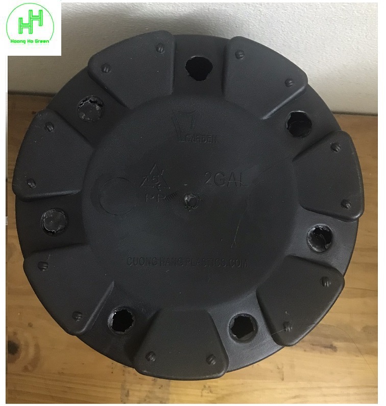 3 Chậu MONROVIA CH Garden 2Gal