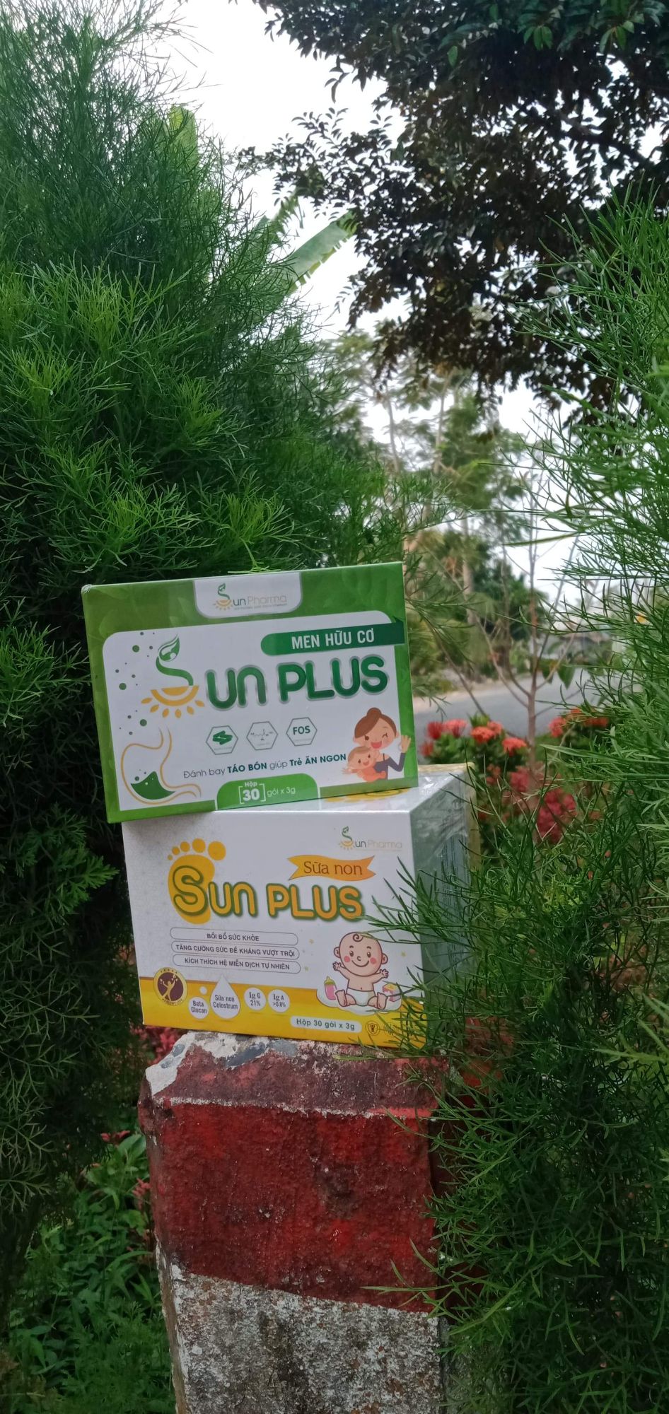 3men hoặc 3sữa non sunplus là có sỉ