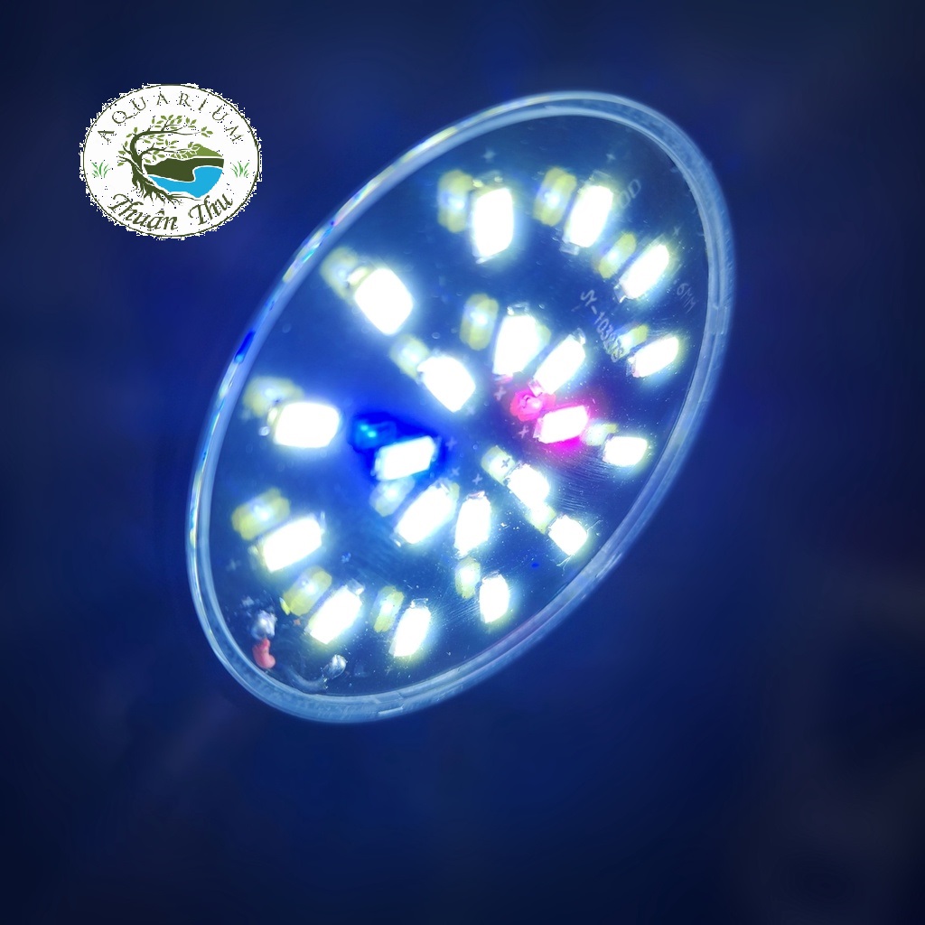Đèn led kẹp hồ cá cảnh mini KaoKui KK JY 25 (7W)