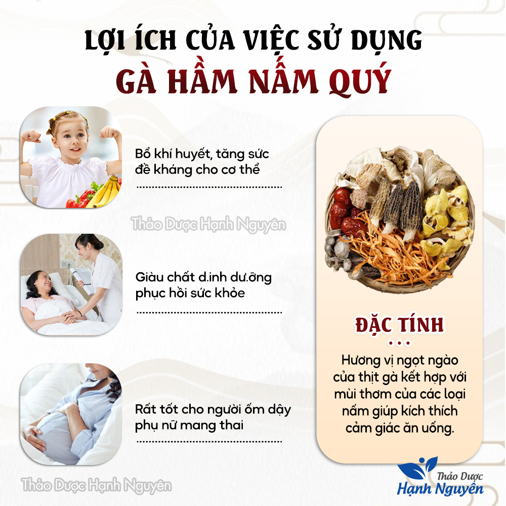 Gà hầm nấm quý, set nấm tần gà, chim, lẩu nấm thơm ngon, bồi bổ sức khỏe cho cả gia đình