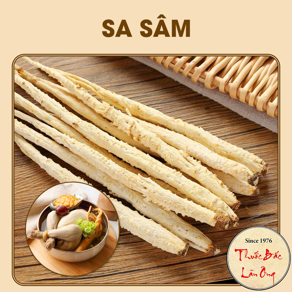 500g Sa Sâm Hàng Loại 1