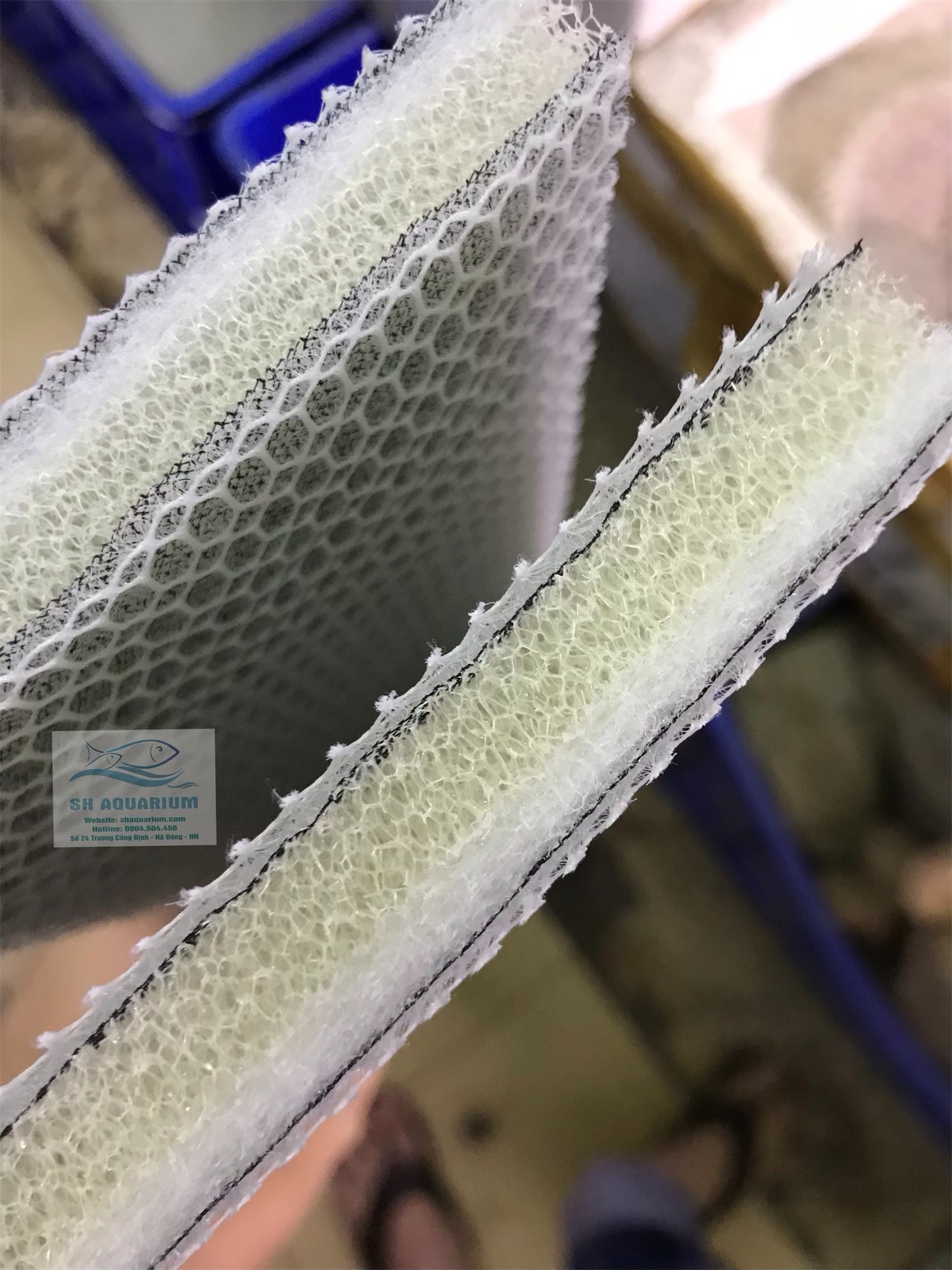 BÔNG LỌC 6D THẾ HỆ MỚI