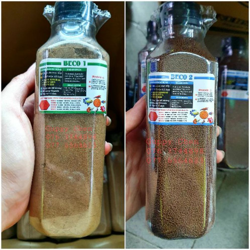 Cám beco cho cá cảnh