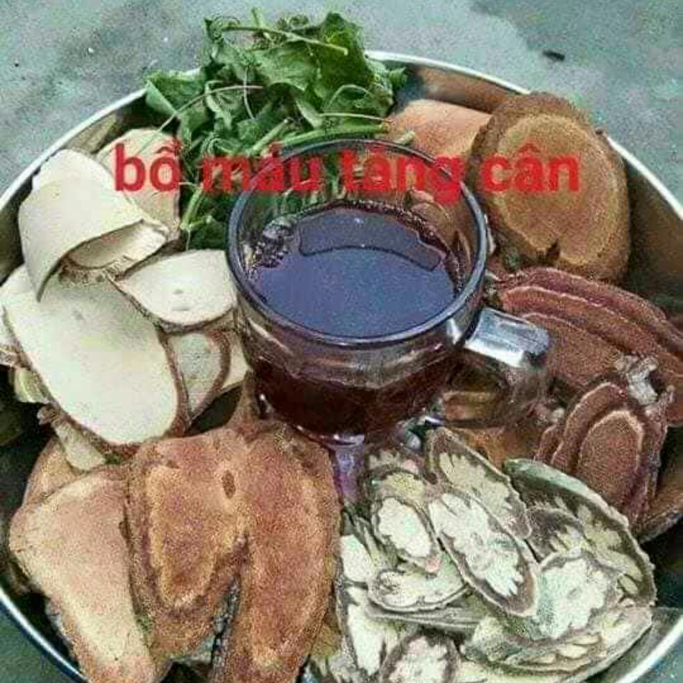 COMBO 2KG CỎ MÁU - CỎ BÉO NHIỀU VỊ