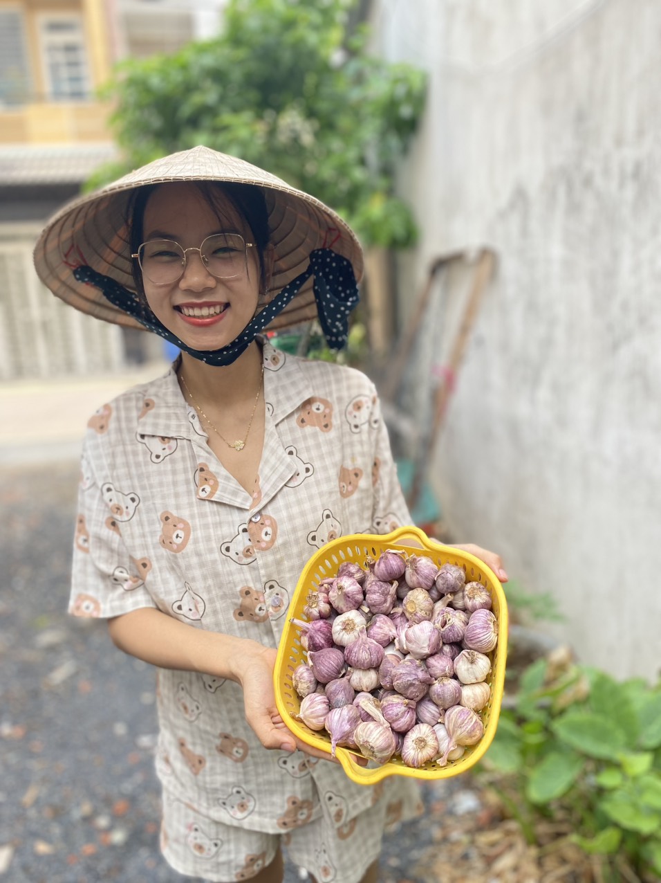 tỏi tím đà lạt củ to thơm ngon