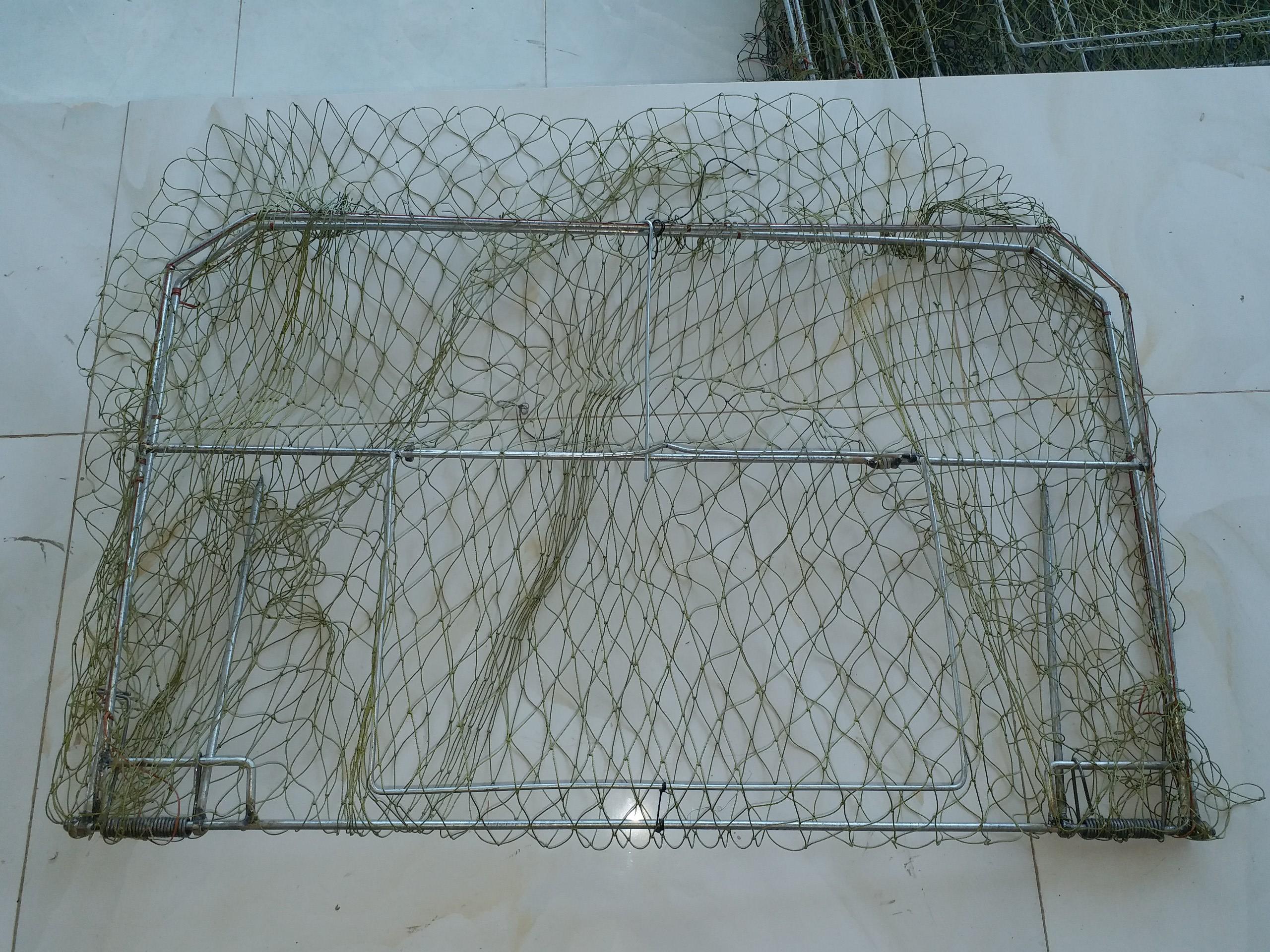 Mẹt vuông bẫy quốc bịp