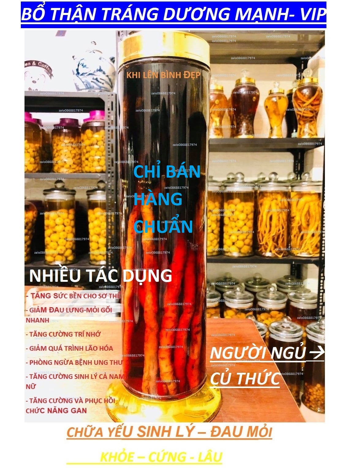 2BỘ SÂM XUYÊN ĐÁ NHƯ SÂM-HÀN-GIẢM ĐAU_LƯNG+MỎI GỐI+LÃOHÓA+UNG_THƯ_GAN+TĂNG CƯỚNG SỨCKHỎE+SINHLÝ+TRÍ NHỚ SXD 1.3