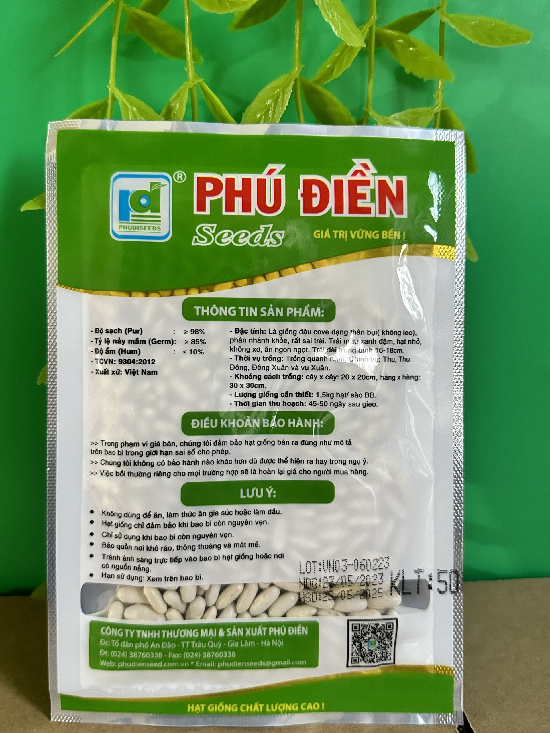 Hạt giống đậu cove bụi hạt trắng PD262
