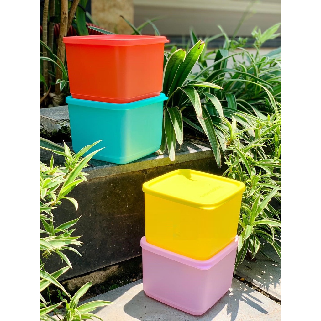 Bộ hộp Medium Square 1L Tupperware (không vỏ hộp)