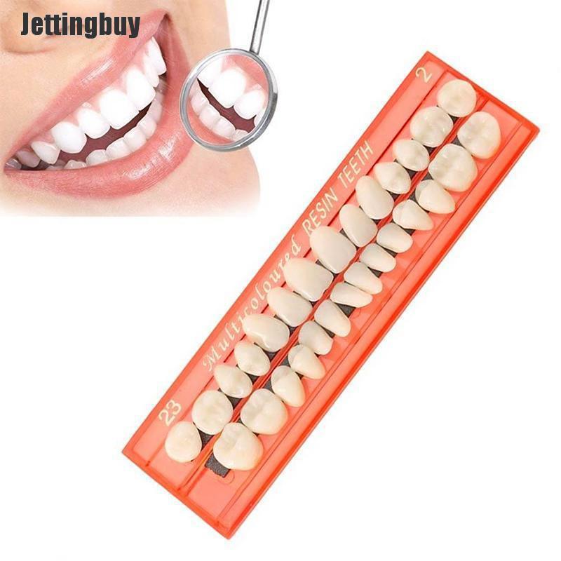 Jettingbuy 28Pcs/Set Resin Teeth Teaching Model Universal False Teeth Dental Material Teeth