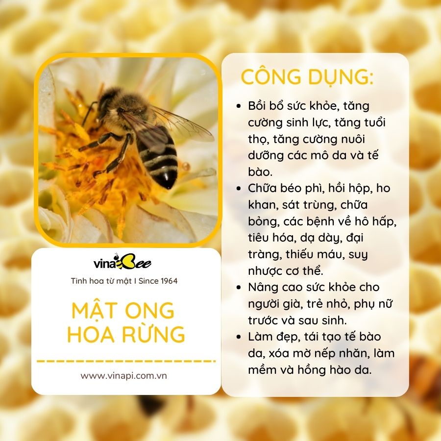 Mật ong hoa rừng Vinabee 1000g