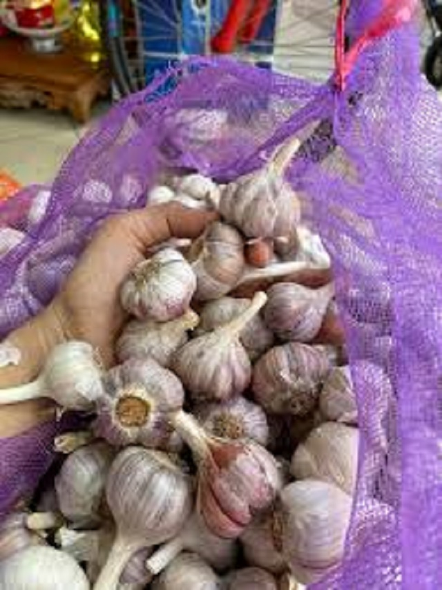 tỏi tím khô bao chuẩn tỏi bắc thơm ngon