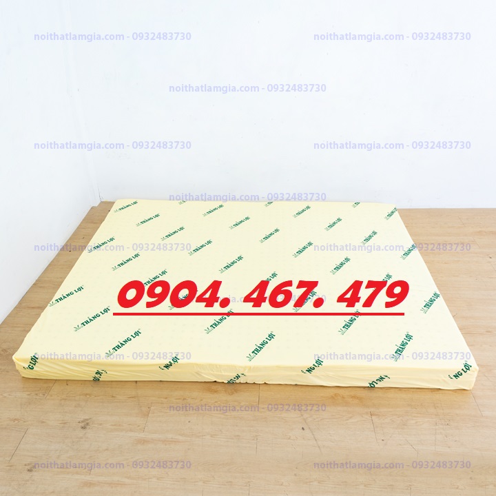NỆM CAO SU NON THẮNG LỢI 10PHAN - NHIỀU KÍCH THƯỚC