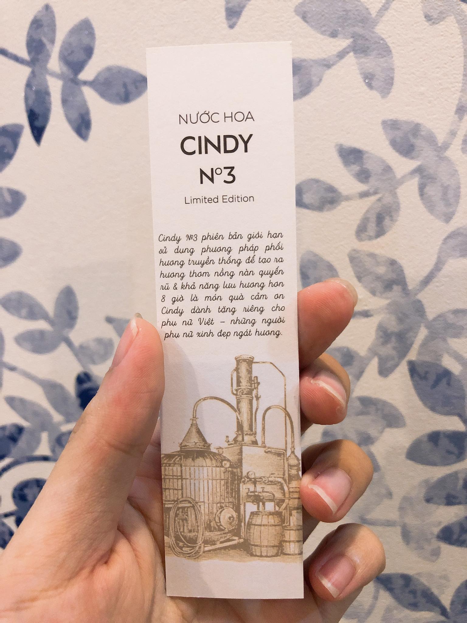 Nước hoa cindy No3 phiên bản đặc biệt