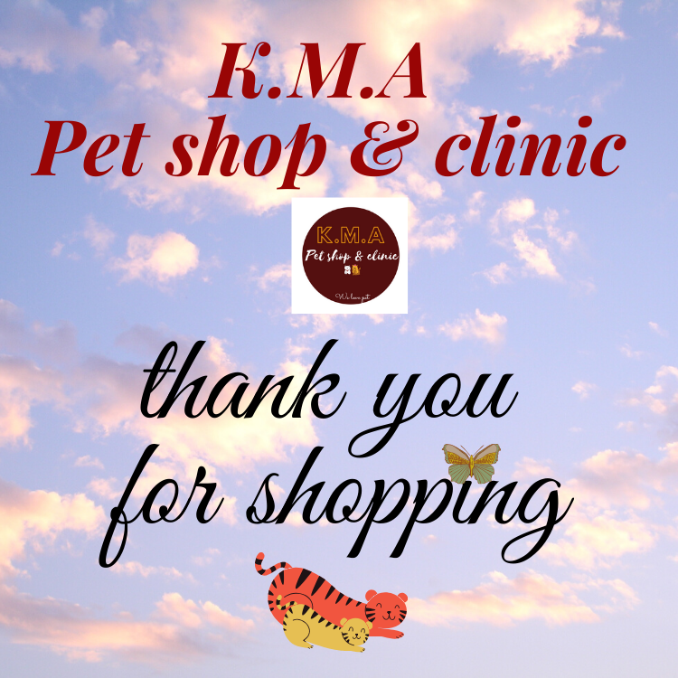 Sữa cao cấp dành cho chó mèo - Bio Milk For Pet gói 100gr
