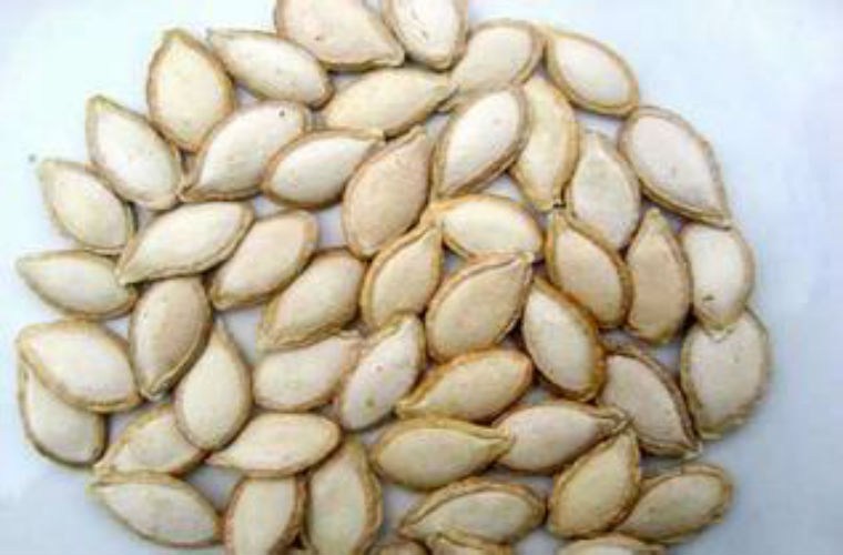 Set 1kg HẠT BÍ cho sỉ