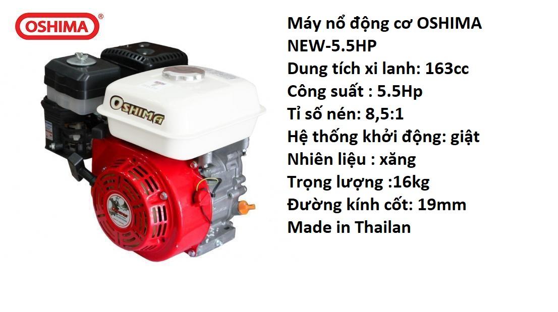 Máy Nổ Động Cơ Oshima 5.5 HP OS 160