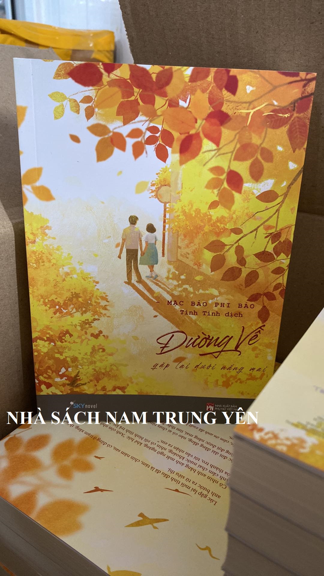 Sách Tiểu Thuyết - Đường về - Mặc Bảo Phi Bảo (TẶNG POSTCARD XINH XẮN - Số lượng giới hạn)