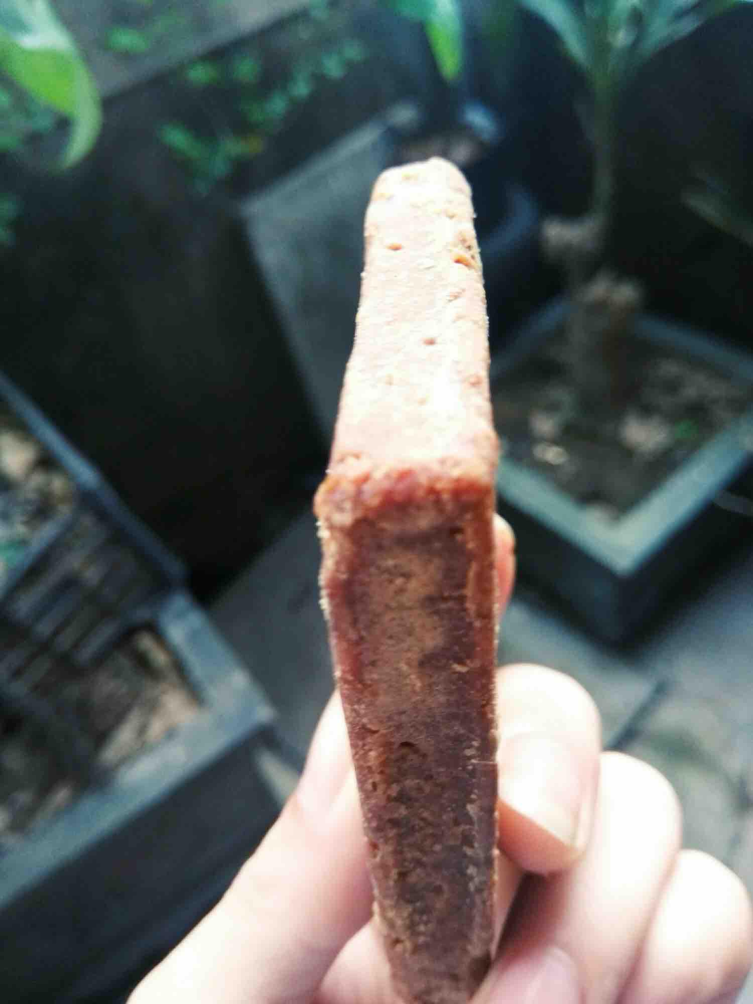 Đường phên làm từ mật mía
