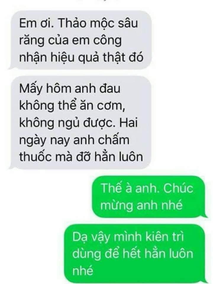 THẢO MỘC SÂU RĂNG TRẦN MAO